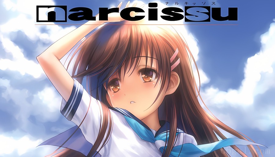 水仙1/Narcissu1
