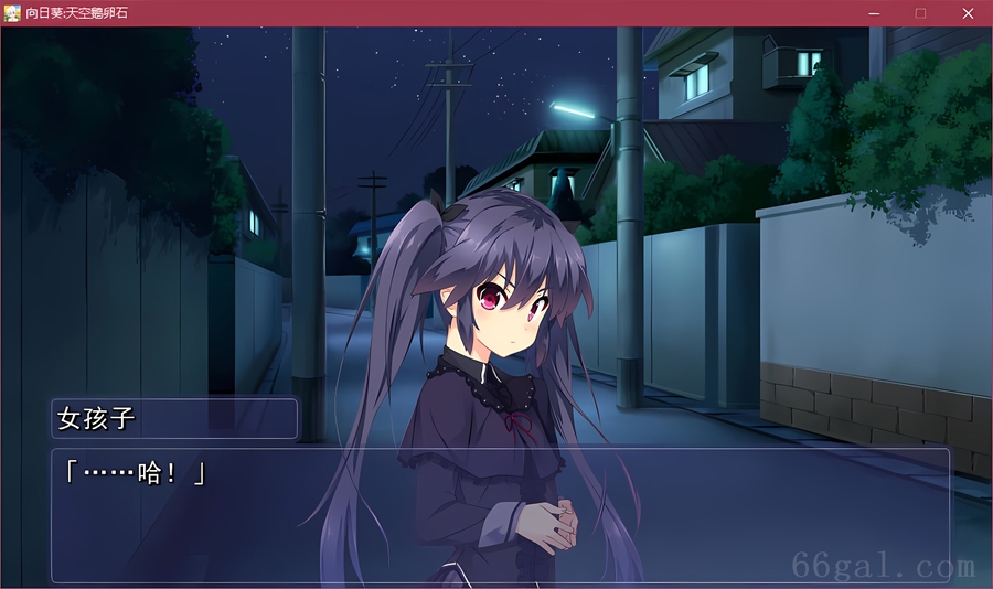 向日葵:天空鹅卵石