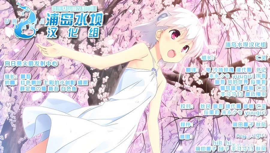 向日葵:天空鹅卵石