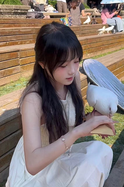 【PC/真人影像互动】做你的猫中文学习版v240916【夸克 | 单机汉