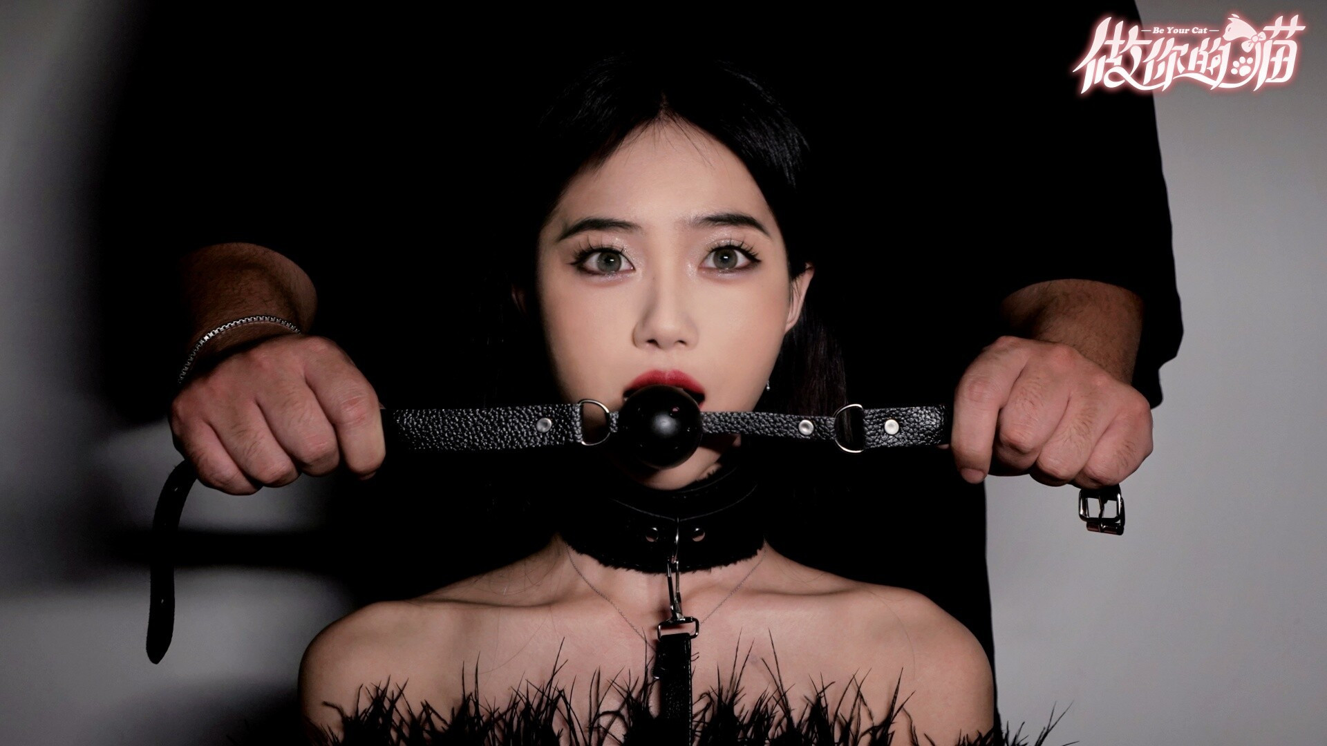 【端游推荐】《做你的猫》最新 中文完整版 | 单机汉